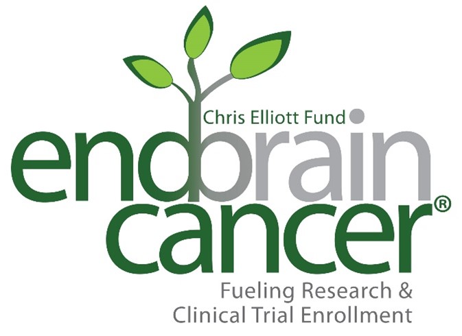 The End Brain Cancer Initiative Partners with Curis to Pre-qualify for PCNSL TakeAim Lymphoma Clinical Trial