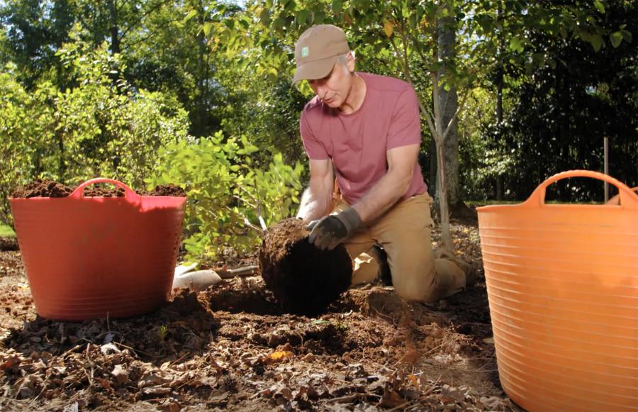 Learn How to Plant a Tree With New Exmark Video