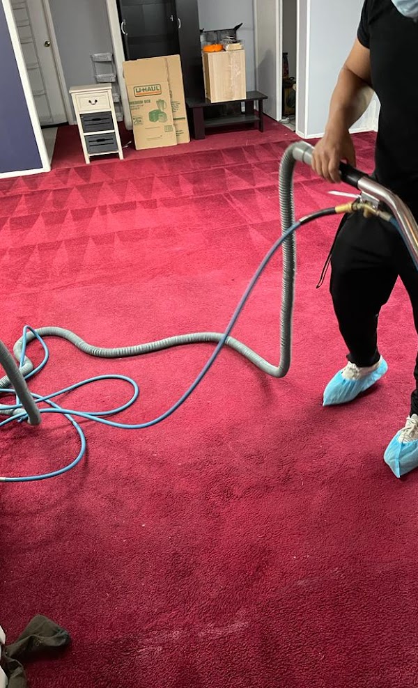 Always Green Carpet Cleaner Manhattan Unveils Home Cleaning Solutions for Home Hygiene