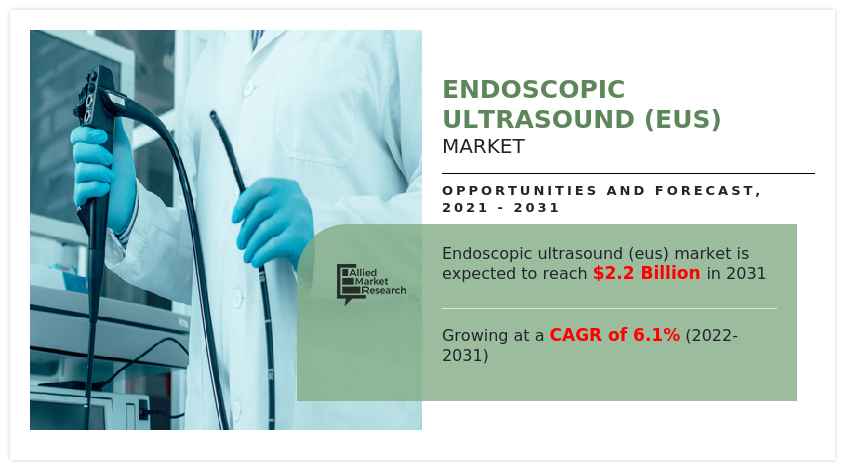 Endoscopic Ultrasound (EUS) Market Poised for Steady Growth: Driven by Chronic Disease -Forecast- 2031