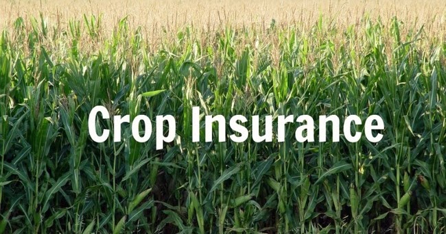 Crop Insurance Market Is Booming Worldwide with Santam, Sompo, Chubb
