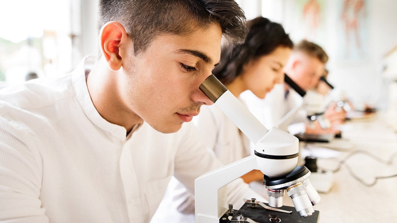 Students’ skills and interest in science tumble in first post-COVID-19 test
